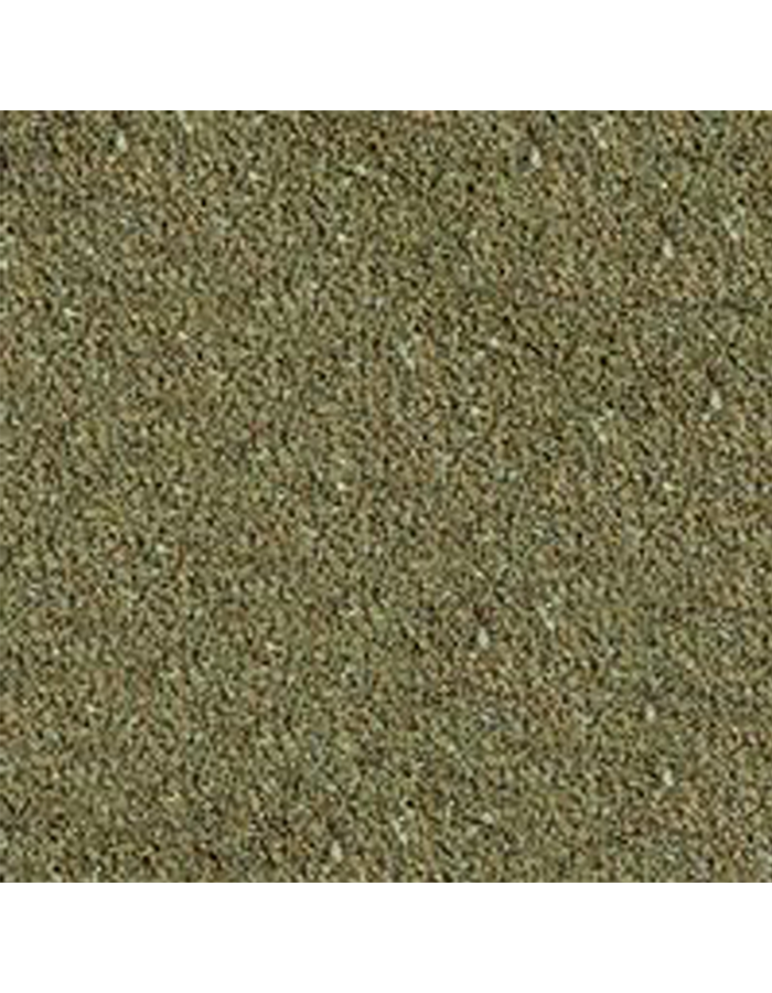 10a_sera_guppy_gran_nature_detail