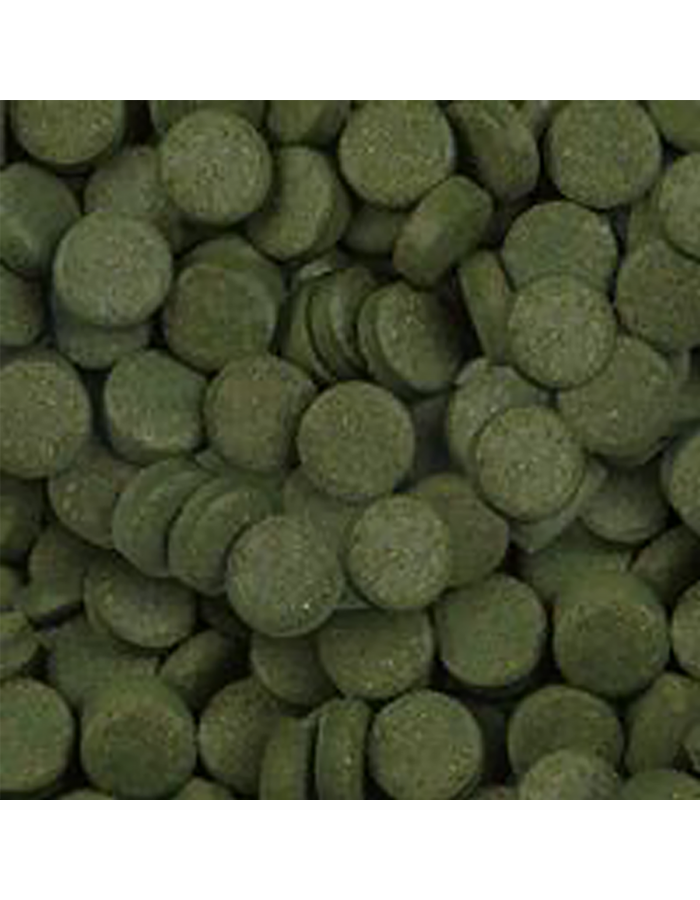 13a_sera_spirulina_tabs_nature_detail
