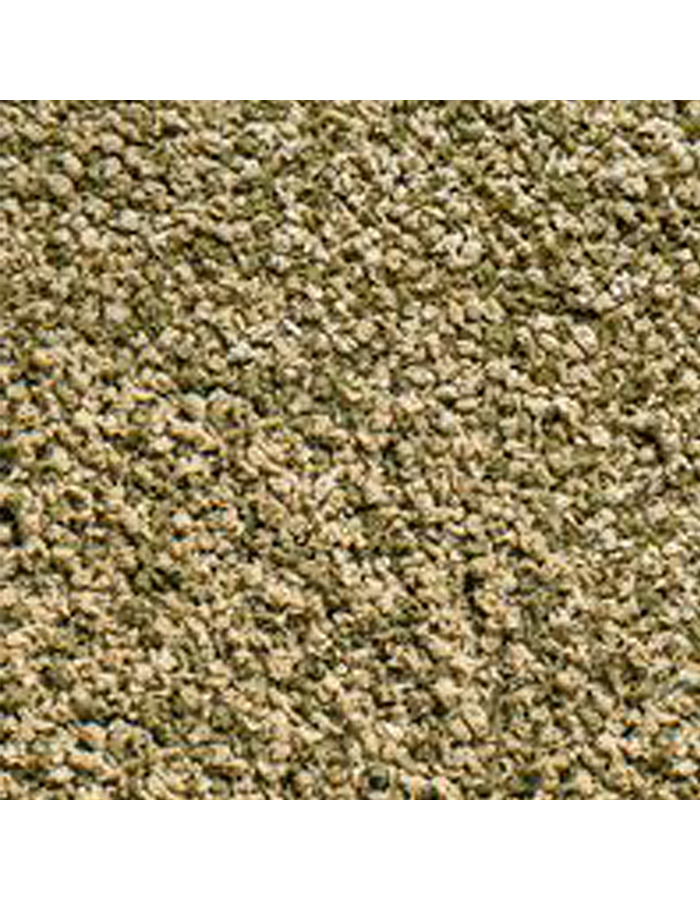 8a_sera_vipagran_nature_detail_0fa760f8d7