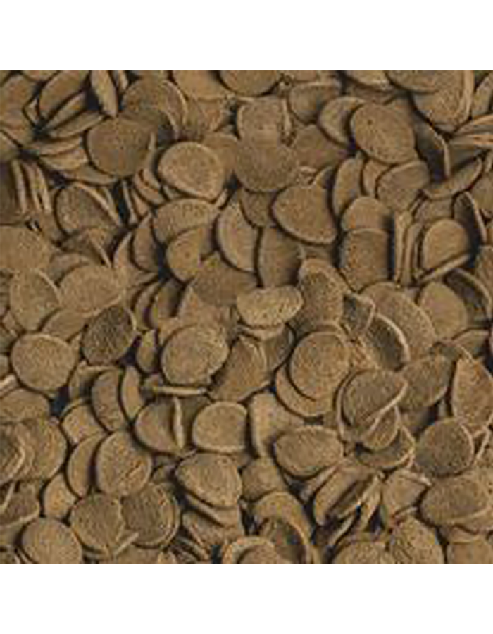 9a_sera_vipachips_nature_detail_b0e11809e5